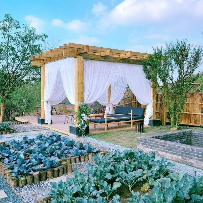 悠然田园生活,慢享农场经营新体验 悠然田园生活,慢享农场经营新体验