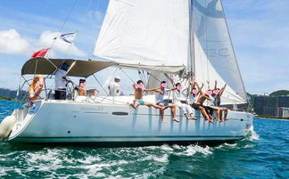 帆船游戏下载排行揭秘:热门前十帆船竞技盛宴 帆船游戏下载排行揭秘:热门前十帆船竞技盛宴