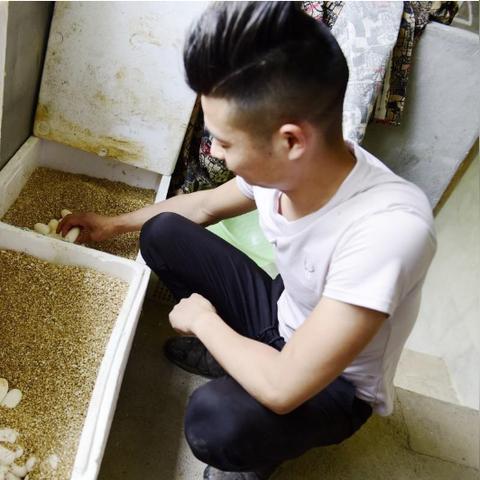 创业必备:人生攻略,公司运营新视角 创业必备:人生攻略,公司运营新视角