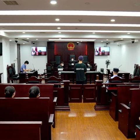 精选真实模拟游戏,体验沉浸式新乐趣 精选真实模拟游戏,体验沉浸式新乐趣