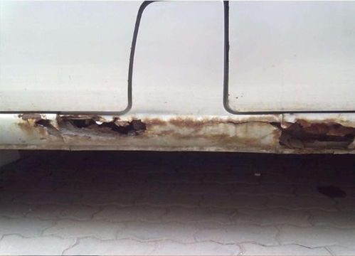 盘点热门:钓鱼游戏人气王,揭秘新潮流 盘点热门:钓鱼游戏人气王,揭秘新潮流