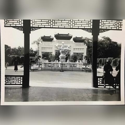 十大精选耐玩轨道射击,揭秘游戏魅力新境界 十大精选耐玩轨道射击,揭秘游戏魅力新境界