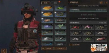 末世求生新体验,揭秘最新游戏推荐攻略 末世求生新体验,揭秘最新游戏推荐攻略