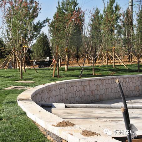 《环形战争》林间教堂攻略：1-3层通关技巧揭秘