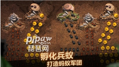 平民快速进阶秘籍：小小蚁国攻略全解析