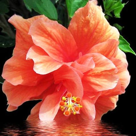 哲理游戏盘点:热门下载精选,深度体验新境界 哲理游戏盘点:热门下载精选,深度体验新境界