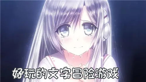 文字游戏盘点:揭秘十大必玩文字冒险佳作 文字游戏盘点:揭秘十大必玩文字冒险佳作