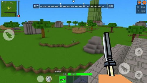 畅玩大型战场，揭秘十大必玩热门游戏推荐