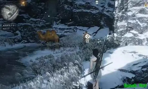 《揭秘!凉州万事知焚骨谶局攻略,轻松完成燕云十六声挑战》 《揭秘!凉州万事知焚骨谶局攻略,轻松完成燕云十六声挑战》