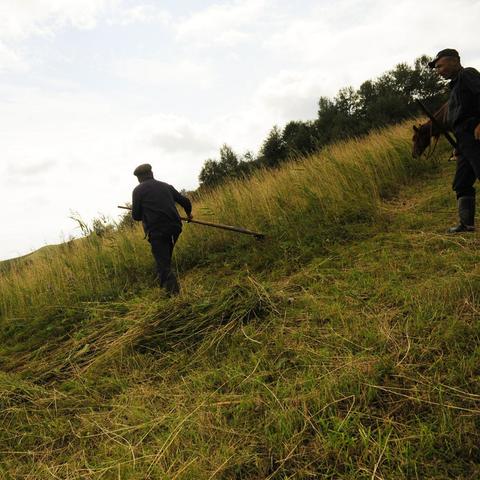 精选快节奏游戏盘点：爆款下载，畅玩新体验