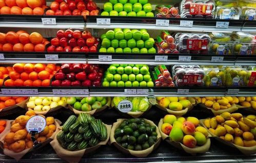 白钢刷币技巧大揭秘:元气骑士高效赚钱攻略解析 白钢刷币技巧大揭秘:元气骑士高效赚钱攻略解析