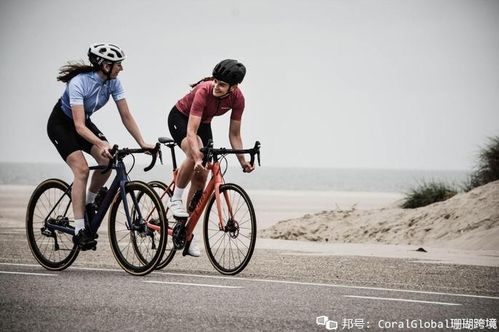 精选骑行乐趣：盘点热门好玩的自行车游戏推荐