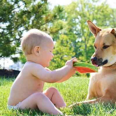 《上古卷轴5》玩家养狗奇遇:狗儿引路,地狱探险记 《上古卷轴5》玩家养狗奇遇:狗儿引路,地狱探险记