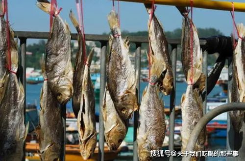 咸鱼之王盐场炸鱼攻略,高效捕鱼新技巧揭秘! 咸鱼之王盐场炸鱼攻略,高效捕鱼新技巧揭秘!