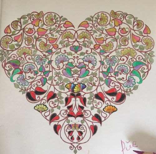 梦幻花园妙笔绘锦图涂色技巧攻略大揭秘! 梦幻花园妙笔绘锦图涂色技巧攻略大揭秘!