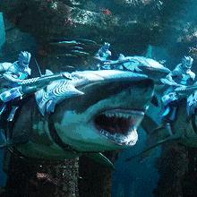 恶人主角游戏盘点：盘点最新热门排行，揭秘趣味无限新体验