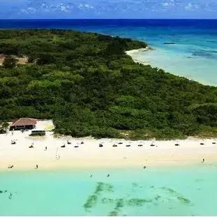 动物餐厅纪念物攻略大揭秘,解锁收藏新技巧 动物餐厅纪念物攻略大揭秘,解锁收藏新技巧