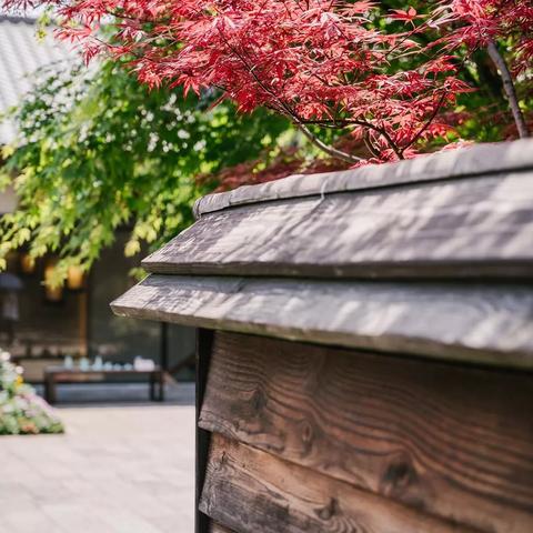 《心动小镇天气速查攻略,轻松掌握每日好心情》 《心动小镇天气速查攻略,轻松掌握每日好心情》