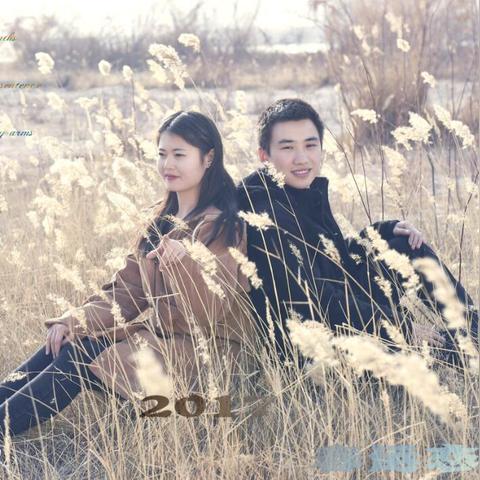 《崩坏星穹铁道》白露突破必备:材料清单大揭秘 《崩坏星穹铁道》白露突破必备:材料清单大揭秘