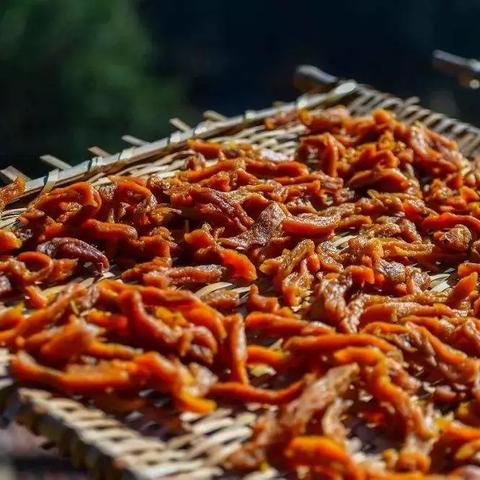 《腐烂都市》预告:生死边缘的生存挑战! 《腐烂都市》预告:生死边缘的生存挑战!