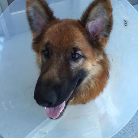 《脱逃者2》全流程攻略:高效通关秘籍大公开 《脱逃者2》全流程攻略:高效通关秘籍大公开