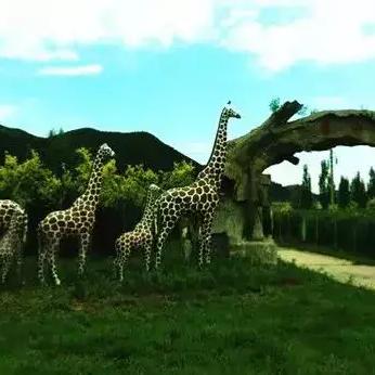 孩童乐园精选:热门游戏推荐,趣味无限新体验 孩童乐园精选:热门游戏推荐,趣味无限新体验