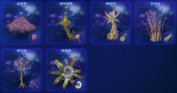 夜之森花海探秘:74种花卉攻略全解析 夜之森花海探秘:74种花卉攻略全解析