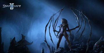 黑白游戏魅力盘点:揭秘十大经典人气排行 黑白游戏魅力盘点:揭秘十大经典人气排行