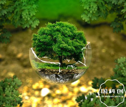 植物图鉴攻略揭秘：晚安森林全收集秘籍大公开