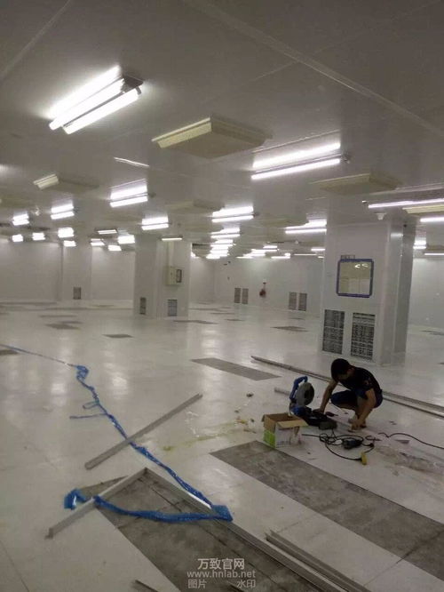 咸鱼之王6270关轻松通关攻略,掌握新技巧助你一臂之力 咸鱼之王6270关轻松通关攻略,掌握新技巧助你一臂之力