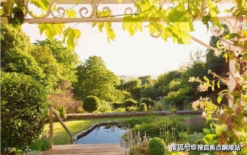 绝息者楼那解析:揭秘绝版神兽全新价值解析 绝息者楼那解析:揭秘绝版神兽全新价值解析