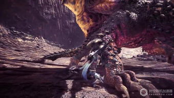 《怪物猎人:荒野》封面怪引热议!玩家呼吁:灭尽龙更胜一筹? 《怪物猎人:荒野》封面怪引热议!玩家呼吁:灭尽龙更胜一筹?