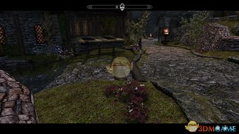 上古卷轴4重制版独家揭秘:装备修理大师NPC藏身之地大揭秘！