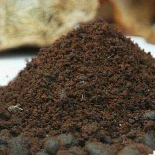 《钓鱼哥冒险之旅》版本对比:价格解析与配置速览 《钓鱼哥冒险之旅》版本对比:价格解析与配置速览