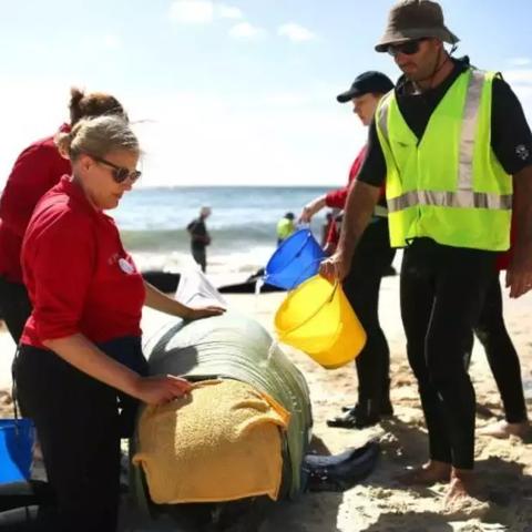 《死亡搁浅》日本工程师自制机械臂:揭秘DIY传奇! 《死亡搁浅》日本工程师自制机械臂:揭秘DIY传奇!