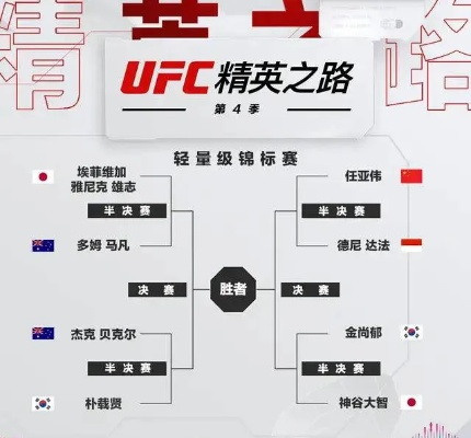 最新格斗巅峰盘点：探寻最佳游戏体验新标杆