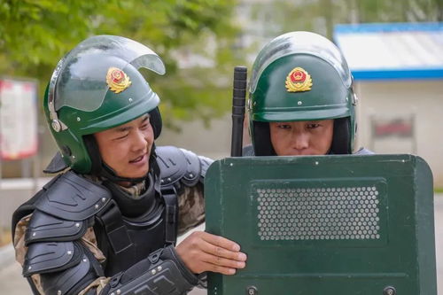 兵人大战军官指挥策略深度解析：掌握制胜新秘籍