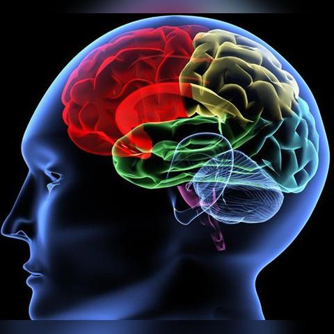 超人类主义游戏精选,热门排行揭示未来科技魅力 超人类主义游戏精选,热门排行揭示未来科技魅力