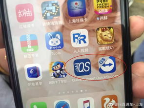 弹力果冻新手攻略:高效配队与资源管理秘籍 弹力果冻新手攻略:高效配队与资源管理秘籍