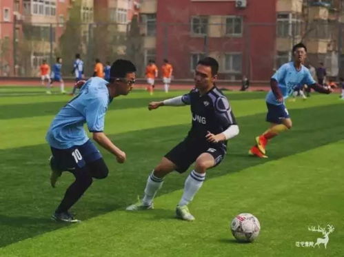 扬科勒制空霸主,足球盛宴新高度 扬科勒制空霸主,足球盛宴新高度