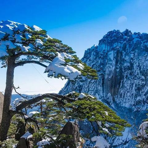 《天外世界2》全新升级!360+修复大补丁,品质飞跃新体验 《天外世界2》全新升级!360+修复大补丁,品质飞跃新体验