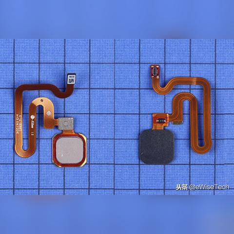 热门模组盘点:最新游戏排行,解锁无限新体验 热门模组盘点:最新游戏排行,解锁无限新体验