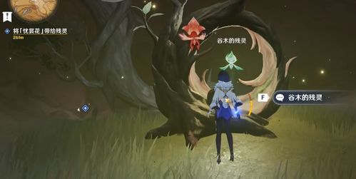 《原神》3.6甘露之光攻略:花海角色搭配技巧揭秘 《原神》3.6甘露之光攻略:花海角色搭配技巧揭秘