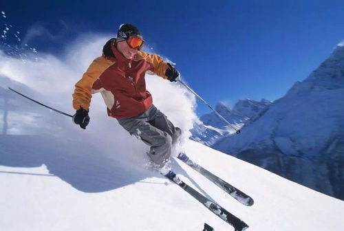 最新滑雪游戏推荐:体验极限运动新风尚 最新滑雪游戏推荐:体验极限运动新风尚