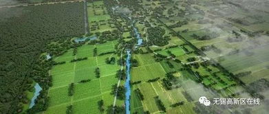 揭秘多洛可小镇:作物加工利润背后的惊人秘密! 揭秘多洛可小镇:作物加工利润背后的惊人秘密!