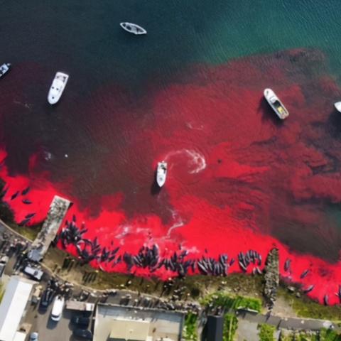 畅玩热门射击盛宴，揭秘最佳第三人称射击游戏精选