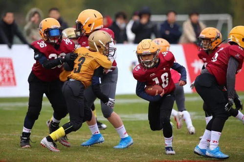 热门美式橄榄球游戏盘点：揭秘最佳互动体验排行