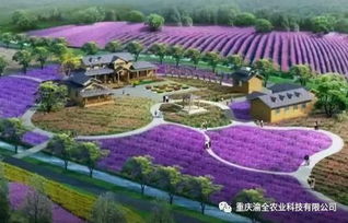 盘点十大经典农业游戏:重温田园风光的魅力 盘点十大经典农业游戏:重温田园风光的魅力