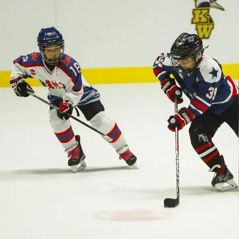 冰球游戏盘点:十大必玩冰球佳作推荐,体验极致竞技魅力 冰球游戏盘点:十大必玩冰球佳作推荐,体验极致竞技魅力