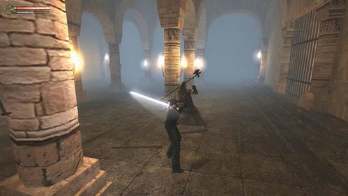 最新动物游戏盘点:揭秘热门人气榜单 最新动物游戏盘点:揭秘热门人气榜单